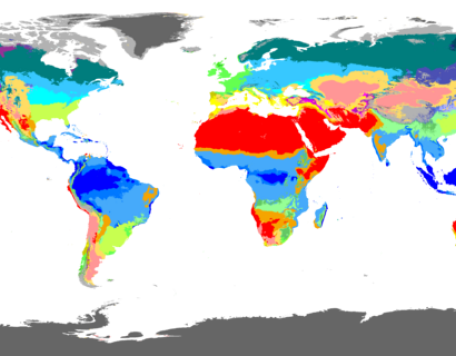 Koeppen Geiger Climate Classification Map 19802016 no borders