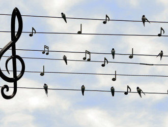 birds 2672101 640 Image by Dieter from Pixabay 1