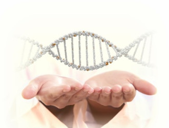 Body 42 DNA in hand